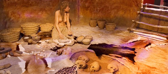 En els inicis de les desigualtats. Museu d'arqueologia de Catalunya. Exposició