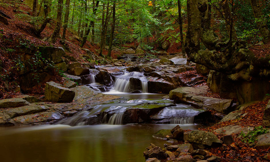 Gamificació webapp Dones d'aigua del Montseny